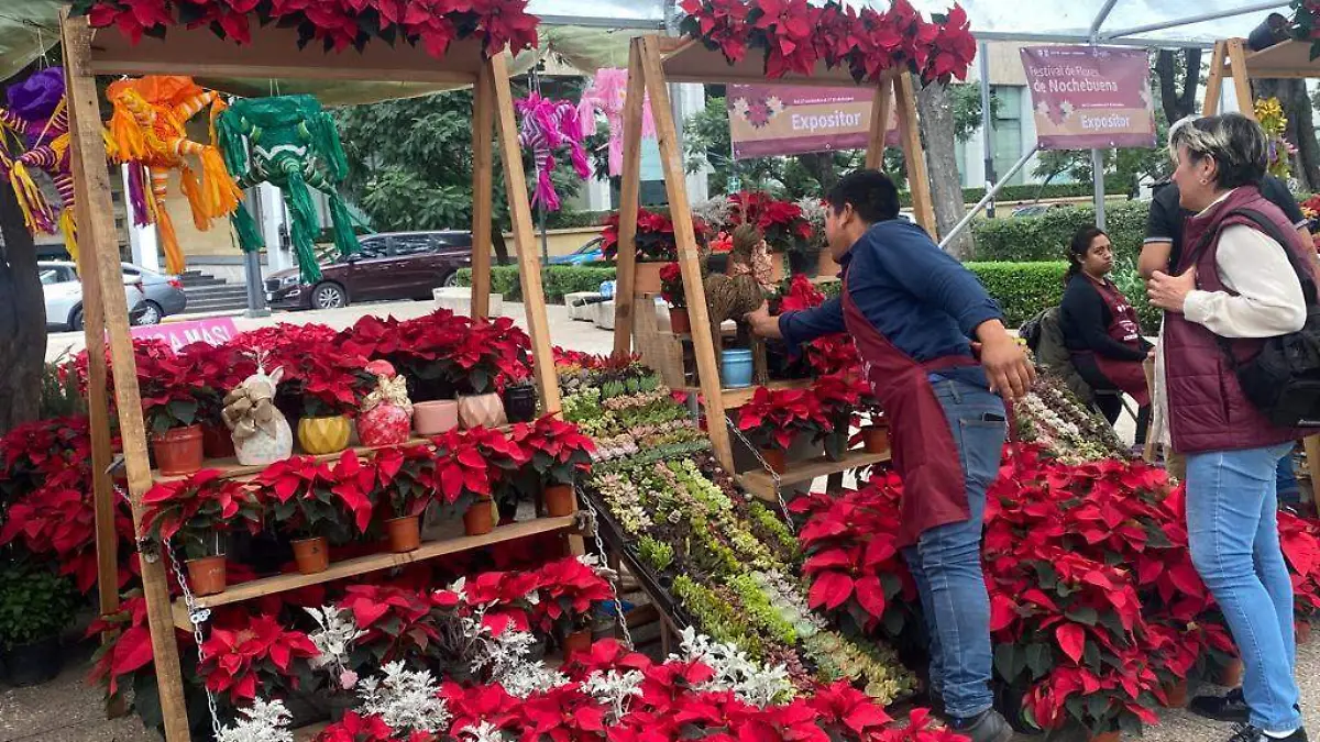 flor nochebuena reforma CORTESIA